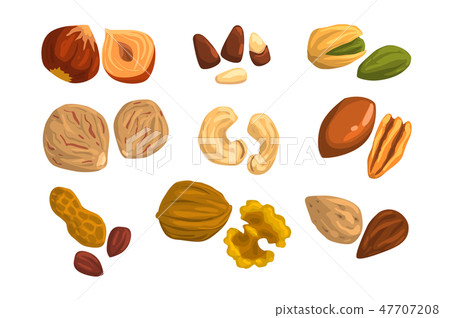 Flat vector icons of nuts and seeds. Hazelnut, pistachio, cashew, nutmeg, walnut, brazil nut, pecan 47707208
