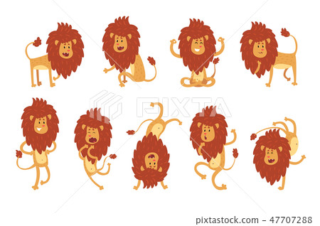 Collection of lion in various poses. Cartoon character of wild African animal. Big strong predator 47707288