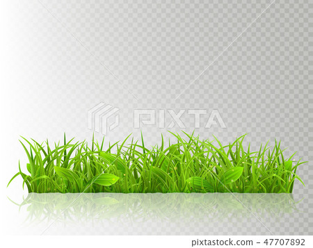 Beautiful realistic detailed fresh green grass, isolated on transparent background. Spring or summer Beautiful realistic detailed fresh green grass, isolated on transparent background. Spring or summer 47707892