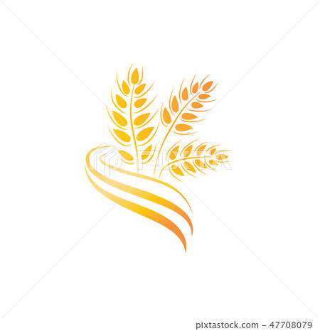 Wheat icon agriculture farm logo natura grain sign Wheat icon agriculture farm logo natura grain sign 47708079