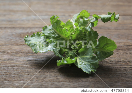 Petite veil brussels sprouts 47708824