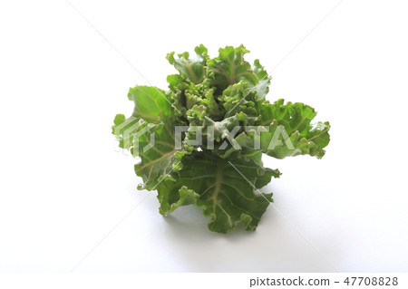 Petite veil brussels sprouts 47708828