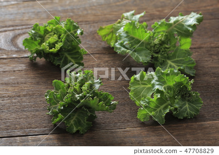 Petite veil brussels sprouts Petite veil brussels sprouts 47708829