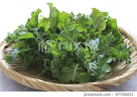 Petite veil brussels sprouts 47708831