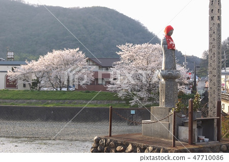 Jizo cherry-blossom viewing 47710086