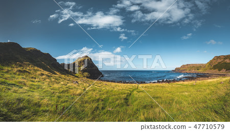Northern Ireland meadow next to the ocean. 47710579