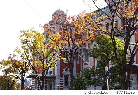 Autumn at Osaka Central Public Hall, Nakanoshima, Kita-ku, Osaka City, Osaka Prefecture Autumn at Osaka Central Public Hall, Nakanoshima, Kita-ku, Osaka City, Osaka Prefecture 47711189