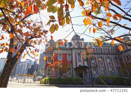 Autumn at Osaka Central Public Hall, Nakanoshima, Kita-ku, Osaka City, Osaka Prefecture Autumn at Osaka Central Public Hall, Nakanoshima, Kita-ku, Osaka City, Osaka Prefecture 47711191