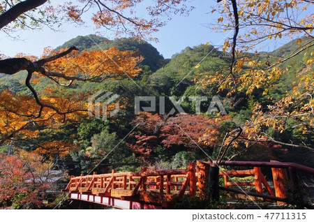 Kikyo Gorge Autumn Leaves Tanabe City, Wakayama Prefecture Kikyo Gorge Autumn Leaves Tanabe City, Wakayama Prefecture 47711315