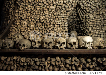 Czech Republic Cedrets Cranes 47711793