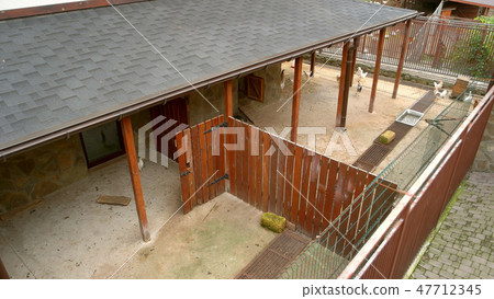 Modern poultry breeding farm. Modern poultry breeding farm. 47712345