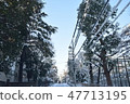 Snowy landscape (morning) 47713195