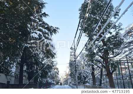 Snowy landscape (morning) 47713195