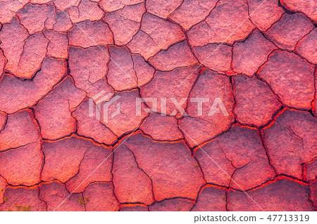 Cracked earth, metaphoric for climate change and global warming. Cracked earth, metaphoric for climate change and global warming. 47713319