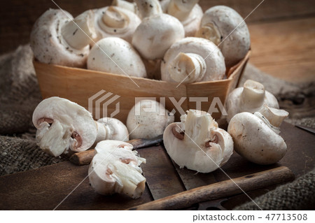 Freshly harvested mushrooms. Freshly harvested mushrooms. 47713508