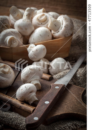 Freshly harvested mushrooms. Freshly harvested mushrooms. 47713509