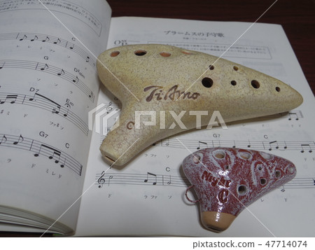 Two Ocarina Two Ocarina 47714074