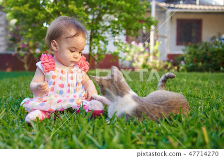 Baby girl playing with cat Baby girl playing with cat 47714270
