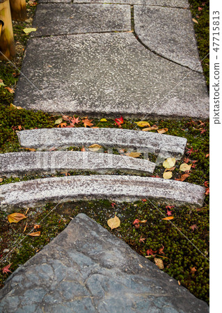 Tenryuji Tower Head · Jokoin Temple, Shishon garden, autumn leaves falling on a paving stone Tenryuji Tower Head · Jokoin Temple, Shishon garden, autumn leaves falling on a paving stone 47715813