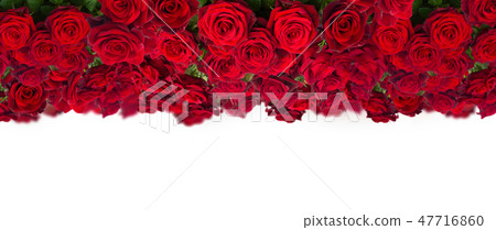 bouquet of dark  red roses  close up 47716860