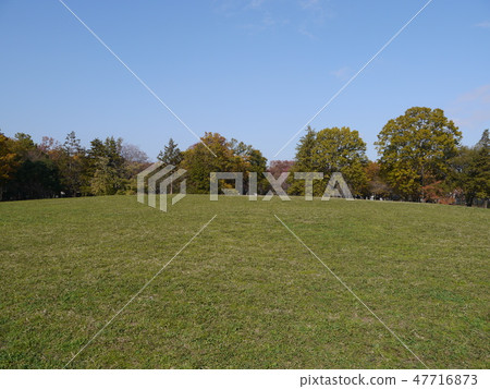 秋天府中之森公園（秋葉時間） 47716873