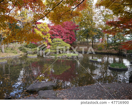 府中的森林公園秋葉 47716900