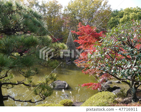 Autumn leaves of Fuchu's forest park 47716911
