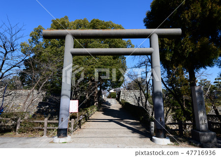 柳澤神社鳥居 柳澤神社鳥居 47716936