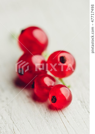 Bunch of red currant 47717498