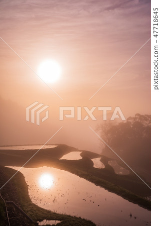 （千葉縣）Oyama Oyama Chima春天春天 47718645