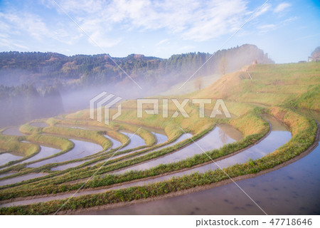 (千葉縣)Oyama Oyama Chima春天春天 (千葉縣)Oyama Oyama Chima春天春天 47718646