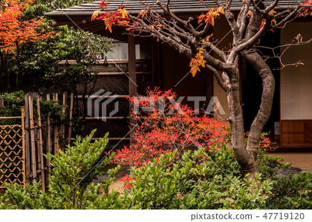 山風景秋葉在今池 47719120