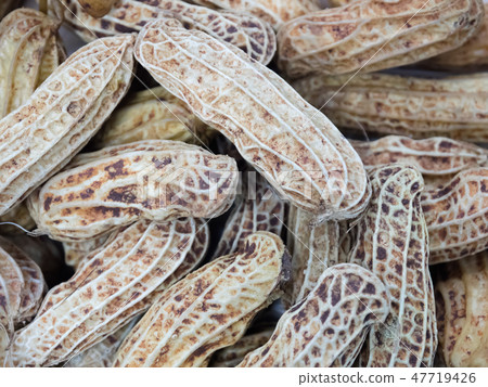 Boiled peanut texture background, Thai food. Boiled peanut texture background, Thai food. 47719426