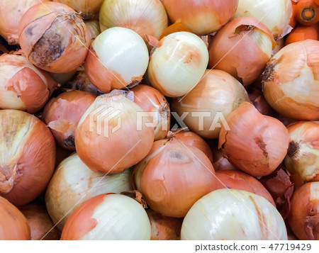 Fresh onions background, Vegetables for healthy. Fresh onions background, Vegetables for healthy. 47719429