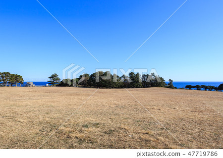 The lawn of the main southern tip of Shono Cape of Honshu 47719786