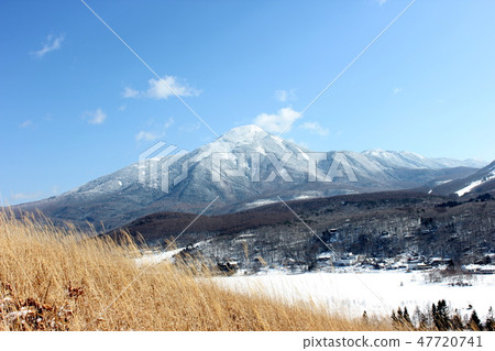 金星線 金星線 47720741