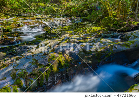 Shizuoka prefecture Izu-shi Amagi luxurious valley Shizuoka prefecture Izu-shi Amagi luxurious valley 47721660