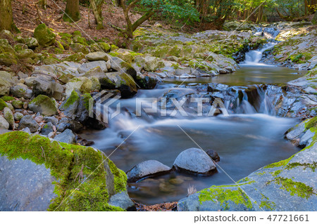 Shizuoka prefecture Izu-shi Amagi luxurious valley Shizuoka prefecture Izu-shi Amagi luxurious valley 47721661