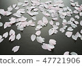 Cherry petals 47721906