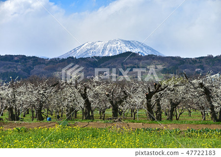 Spring in Shinshu 47722183