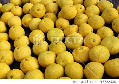 Hat Harvest Hat Harvest 47722380