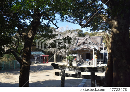 Kamakura City Kotobuki Shrine 47722478