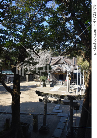 Kamakura City Kotobuki Shrine 47722479