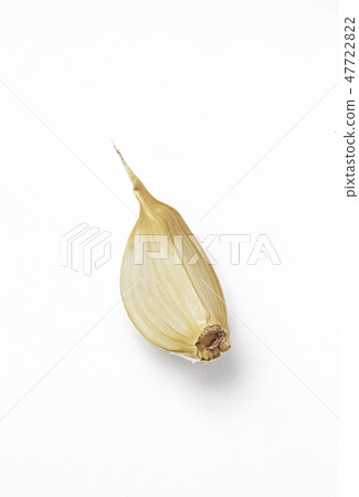 Garlic_02 47722822