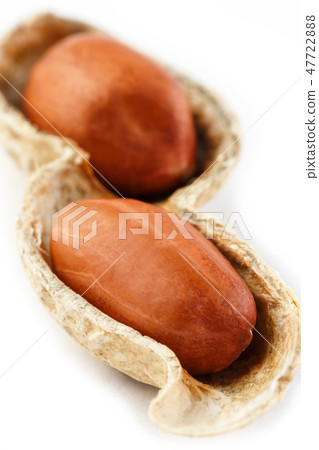 Peanuts on a peeled cob, two grains isolated on Peanuts on a peeled cob, two grains isolated on 47722888