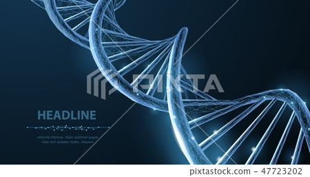 DNA. Abstract 3d polygonal wireframe DNA molecule helix spiral on blue. 47723202