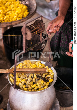 Sericulture Thai silk making in Countryside 47724852