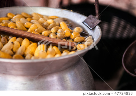 Sericulture Thai silk making in Countryside 47724853