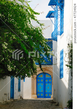 Tunisian Blue The streets of Sidibuside with white flowers Tunisian Blue The streets of Sidibuside with white flowers 47724924