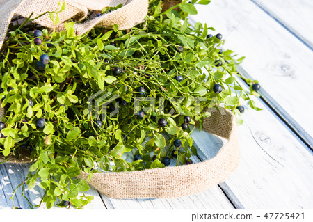 Blueberries in cloth bag in summer Blueberries in cloth bag in summer 47725421